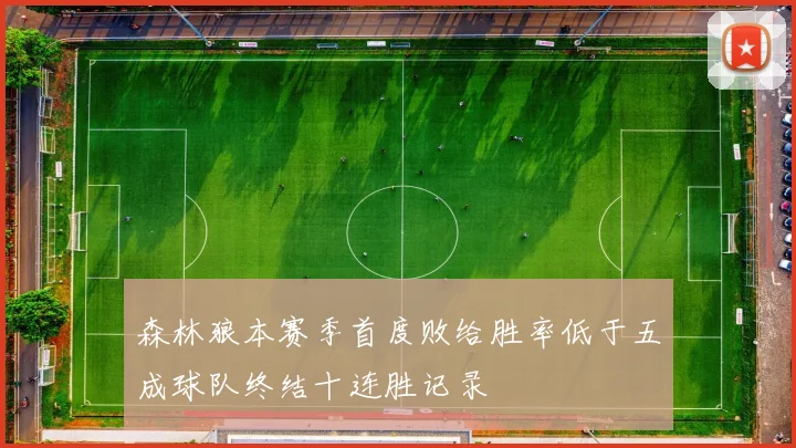 森林狼本赛季首度败给胜率低于五成球队终结十连胜记录