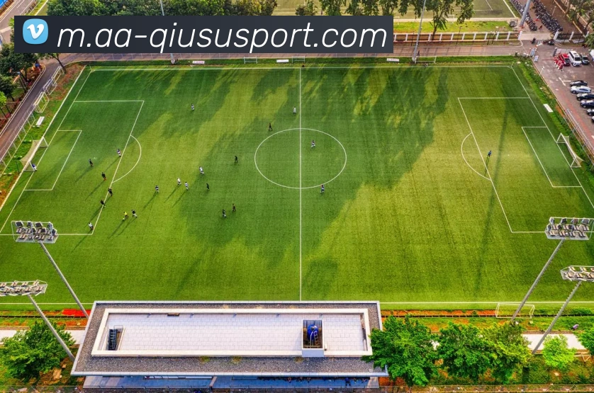 球速体育APP 封面图